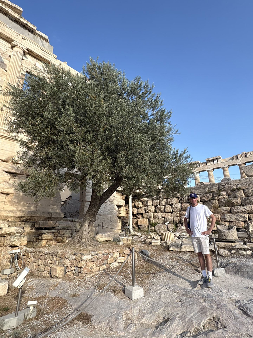 a student standing near an olive tree in Athens Greece.